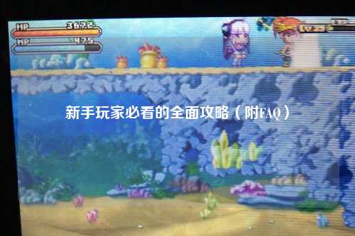 新手玩家必看的全面攻略（附FAQ）