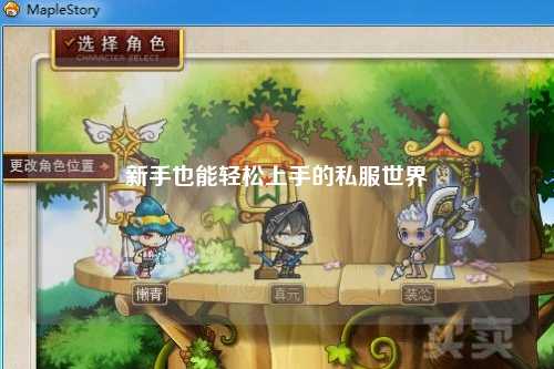 新手也能轻松上手的私服世界