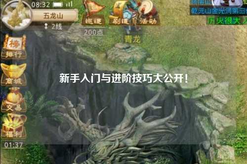 新手入门与进阶技巧大公开！