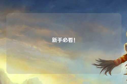 新手必看！