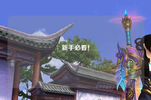 新手必看！