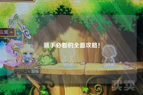 新手必看的全面攻略！