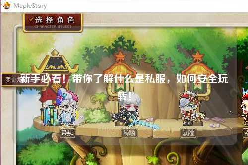新手必看!带你了解什么是私服,如何安全玩转!