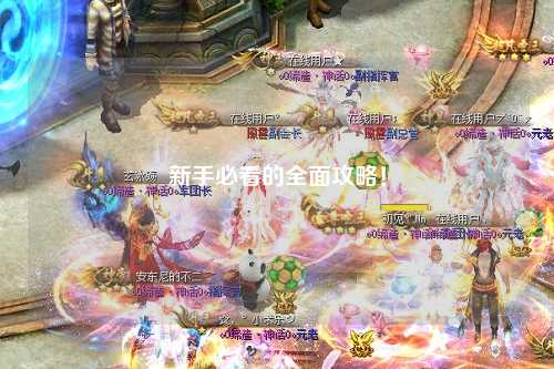 新手必看的全面攻略！