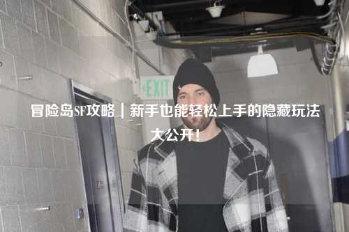 冒险岛SF攻略|新手也能轻松上手的隐藏玩法大公开!