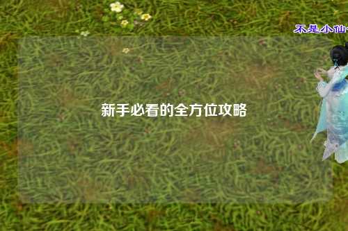 新手必看的全方位攻略