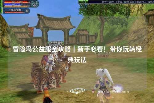 冒险岛公益服全攻略｜新手必看！带你玩转经典玩法